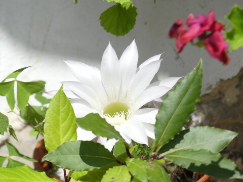 幸运飞艇注册奖励